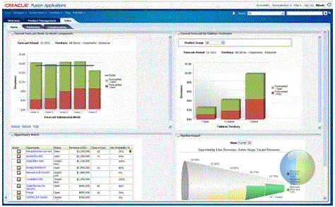 Fusion CRM Embedded Analytics